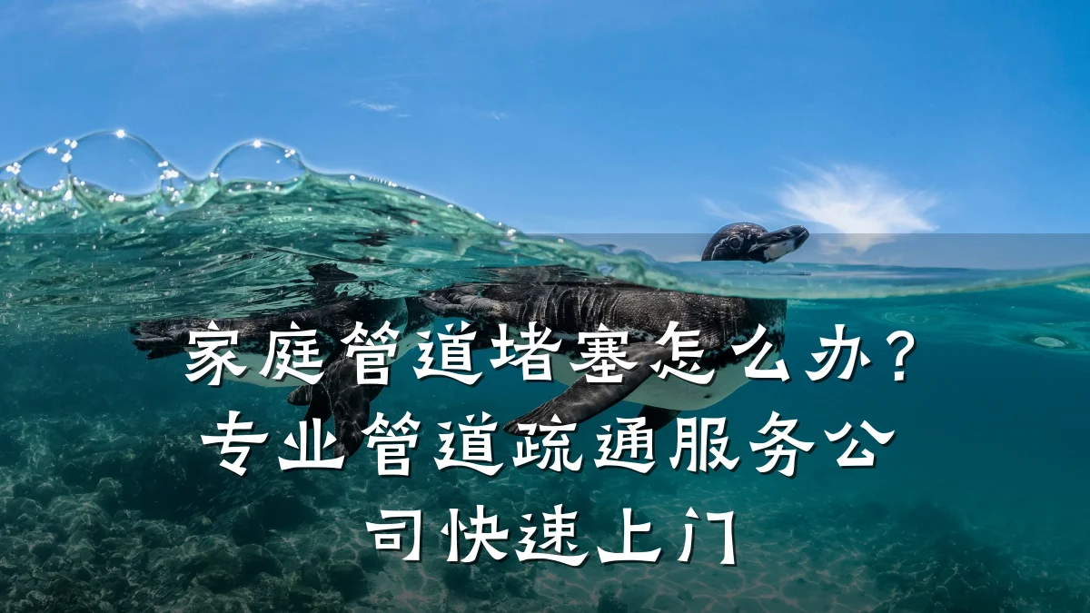 家庭管道堵塞怎么办?专业管道疏通服务公司快速上门