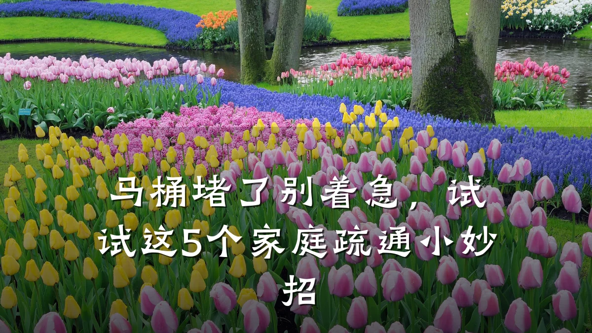马桶堵了别着急,试试这5个家庭疏通小妙招
