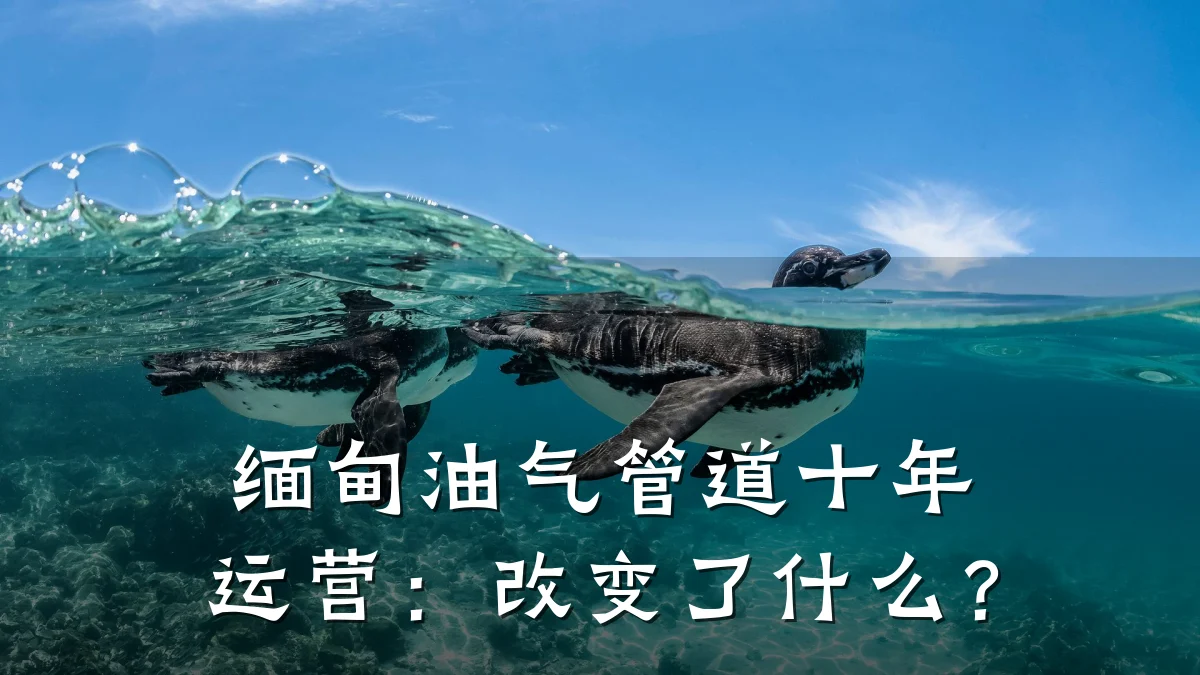 缅甸油气管道十年运营:改变了什么?