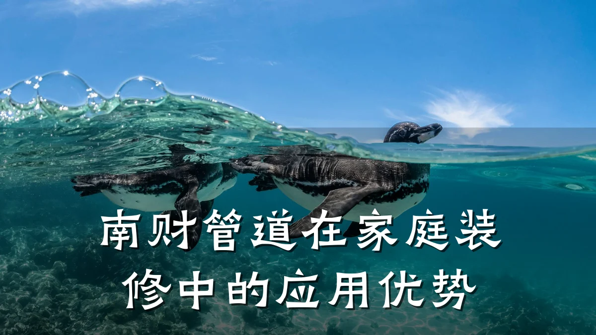 南财管道在家庭装修中的应用优势