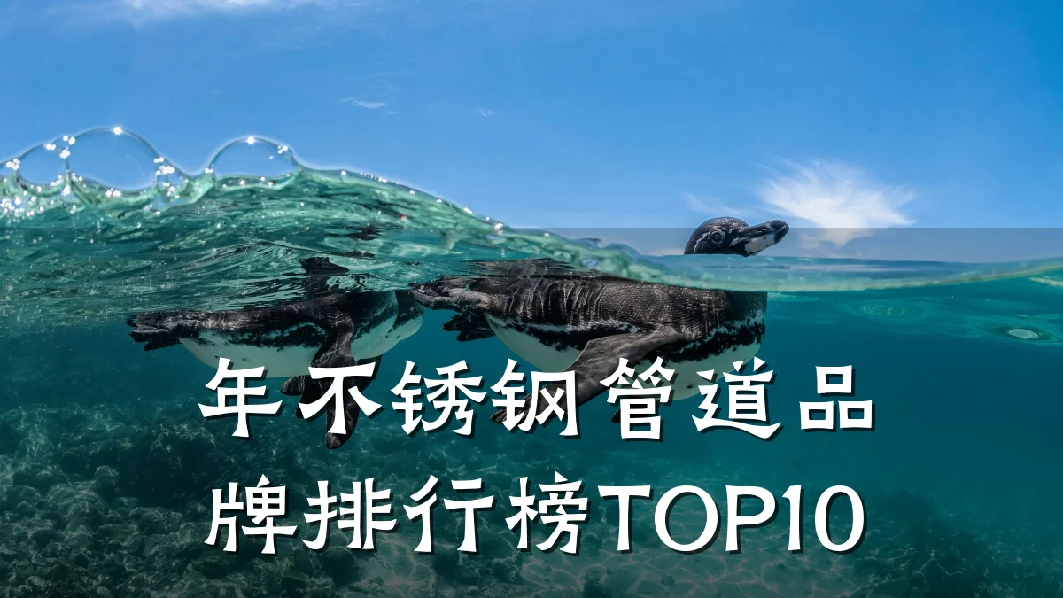 年不锈钢管道品牌排行榜TOP10