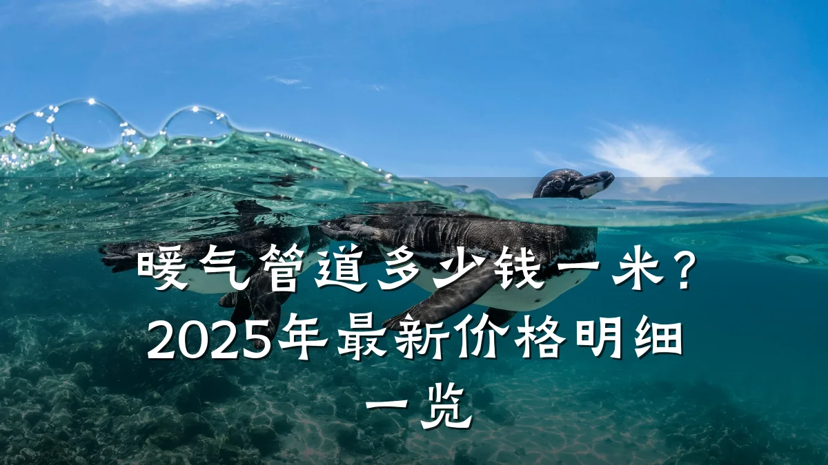暖气管道多少钱一米?2025年最新价格明细一览