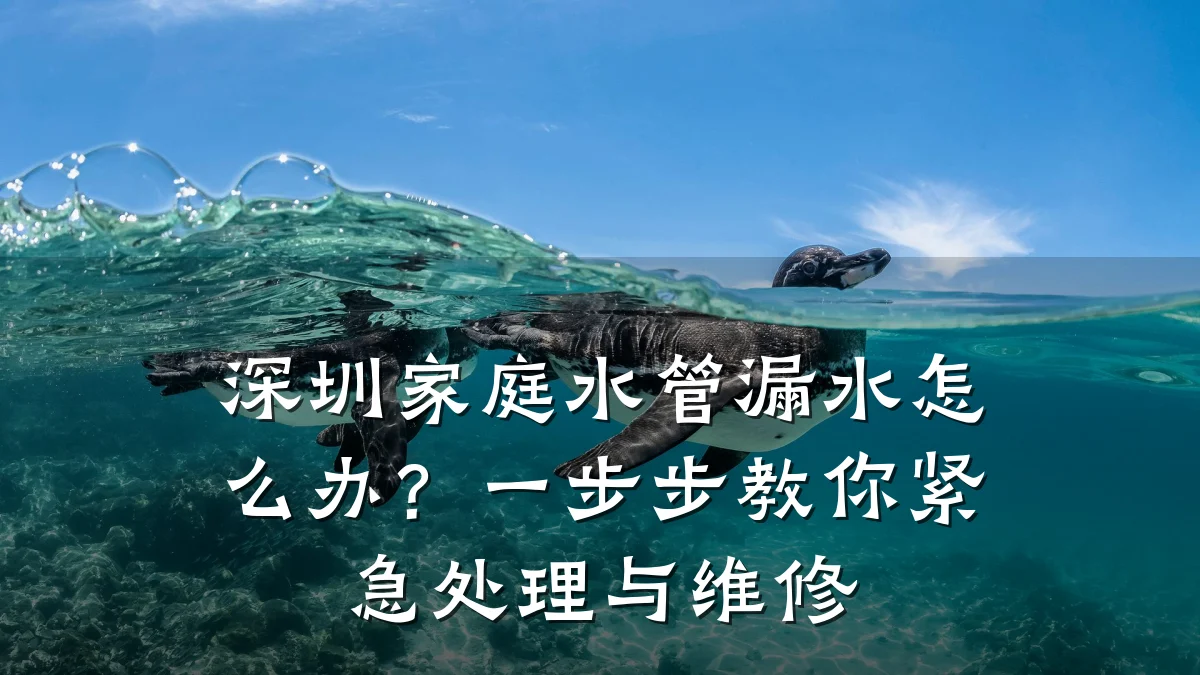 深圳家庭水管漏水怎么办?一步步教你紧急处理与维修