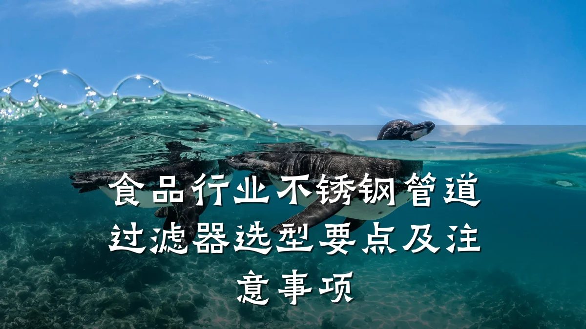 食品行业不锈钢管道过滤器选型要点及注意事项