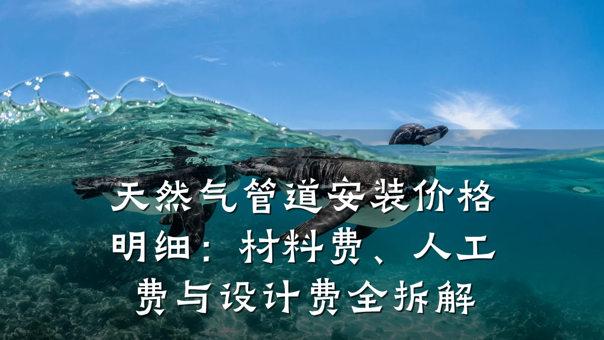 天然气管道安装价格明细:材料费、人工费与设计费全拆解