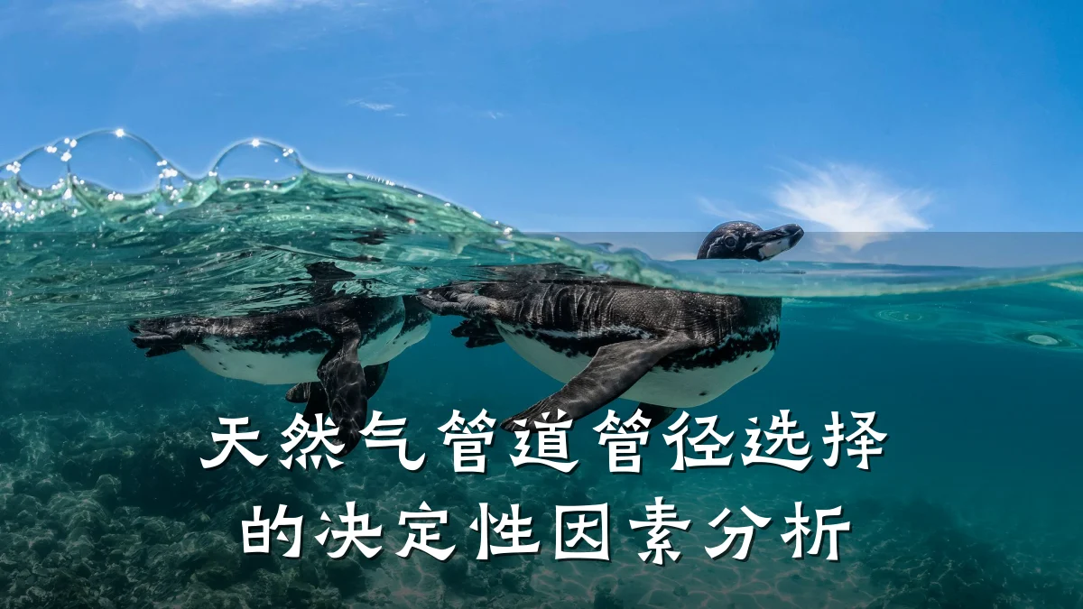 天然气管道管径选择的决定性因素分析