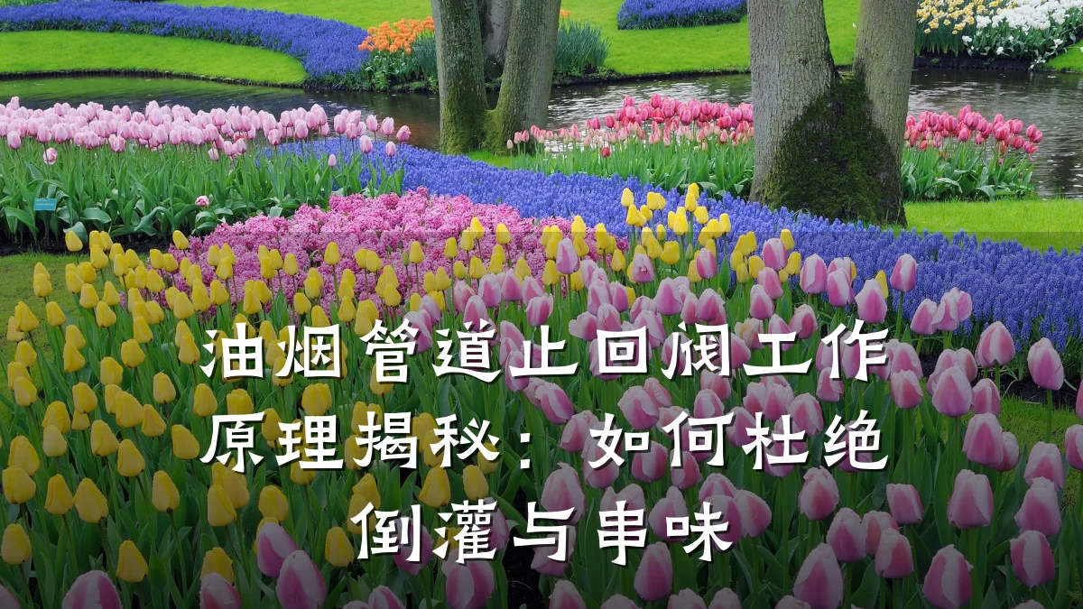 油烟管道止回阀工作原理揭秘:如何杜绝倒灌与串味