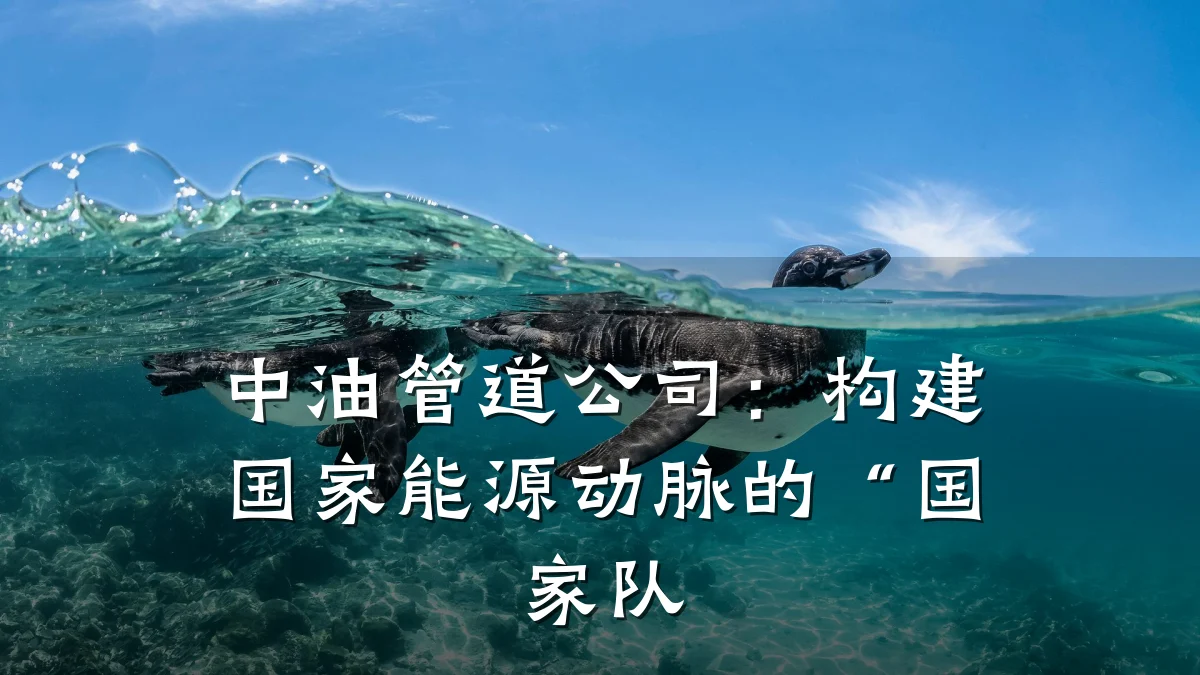 中油管道公司:构建国家能源动脉的“国家队