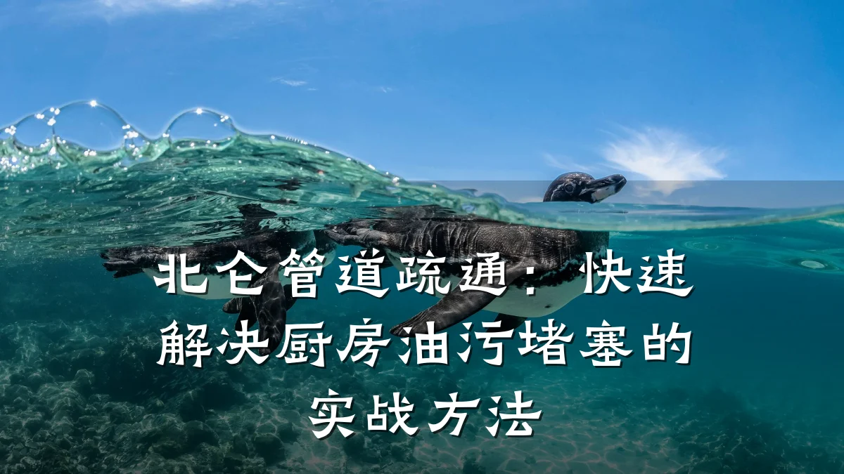 北仑管道疏通:快速解决厨房油污堵塞的实战方法