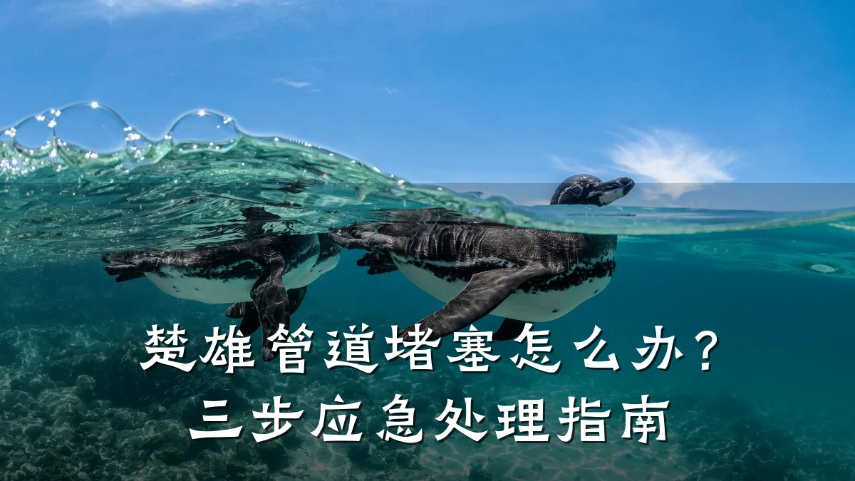 楚雄管道堵塞怎么办?三步应急处理指南