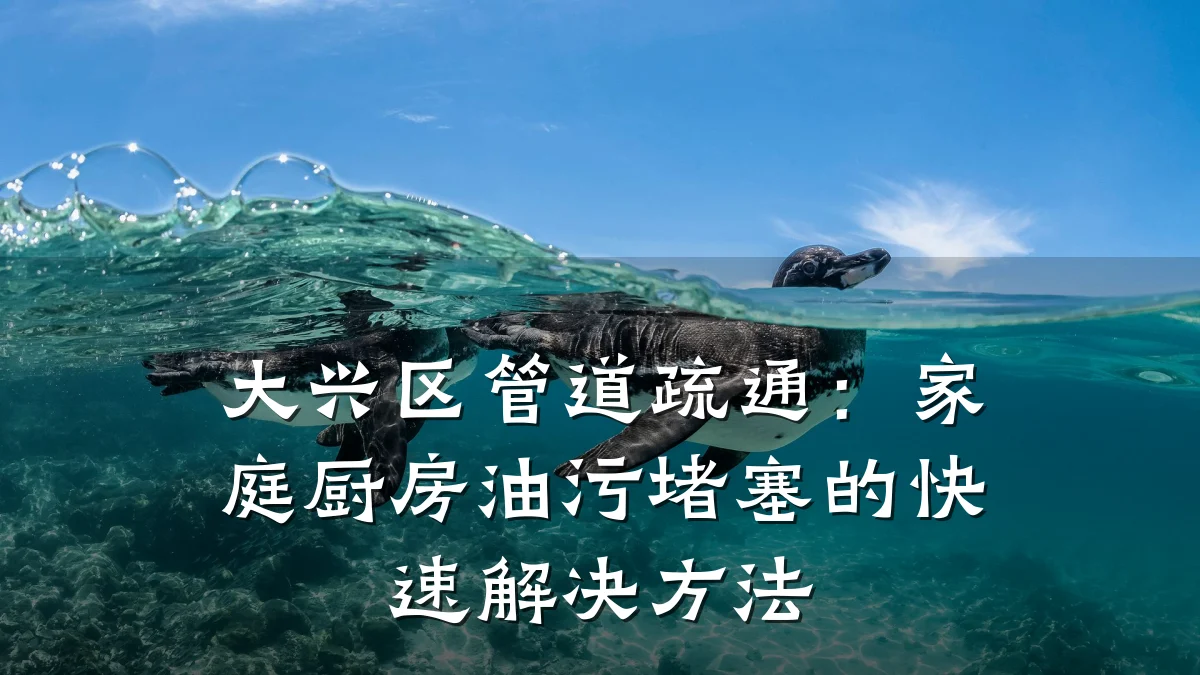 大兴区管道疏通:家庭厨房油污堵塞的快速解决方法