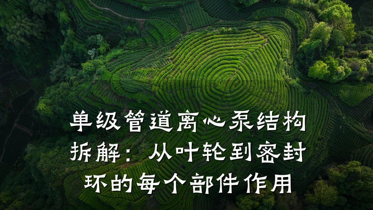 单级管道离心泵结构拆解:从叶轮到密封环的每个部件作用