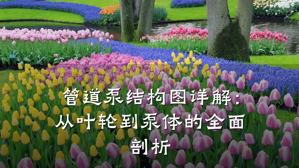 管道泵结构图详解:从叶轮到泵体的全面剖析