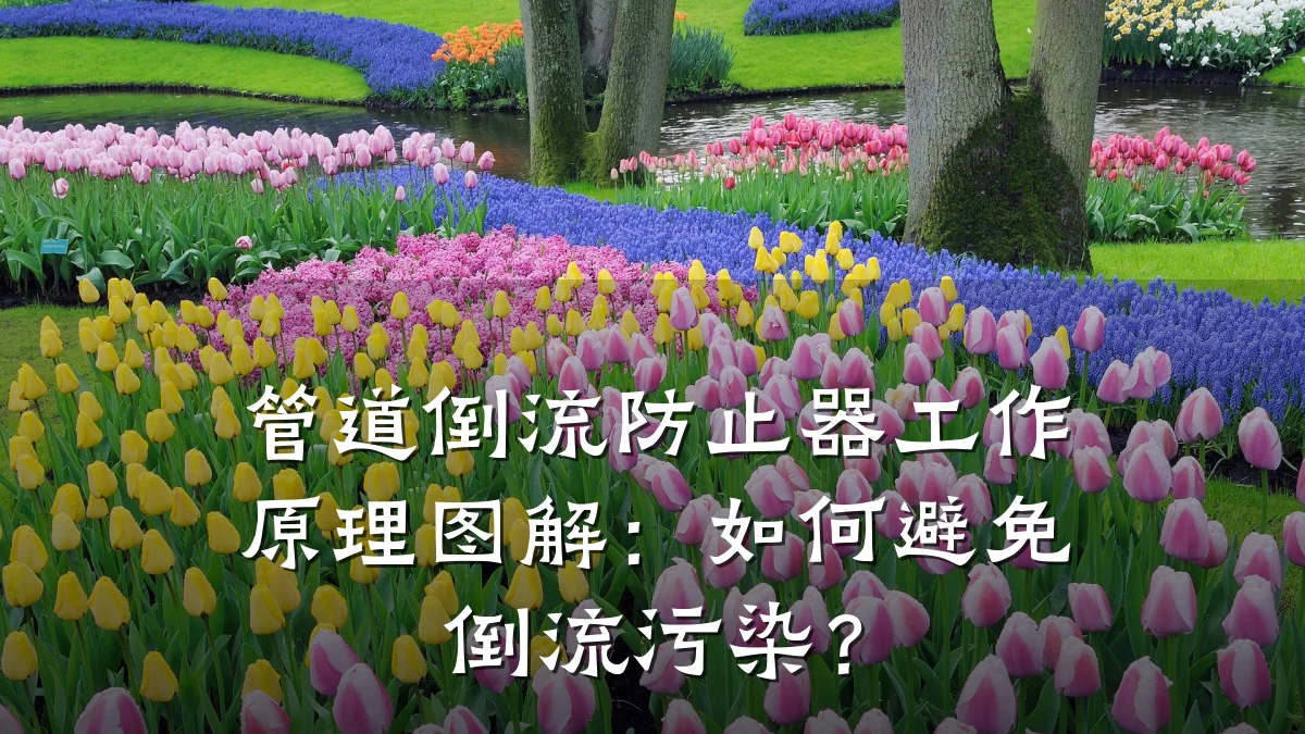 管道倒流防止器工作原理图解:如何避免倒流污染?