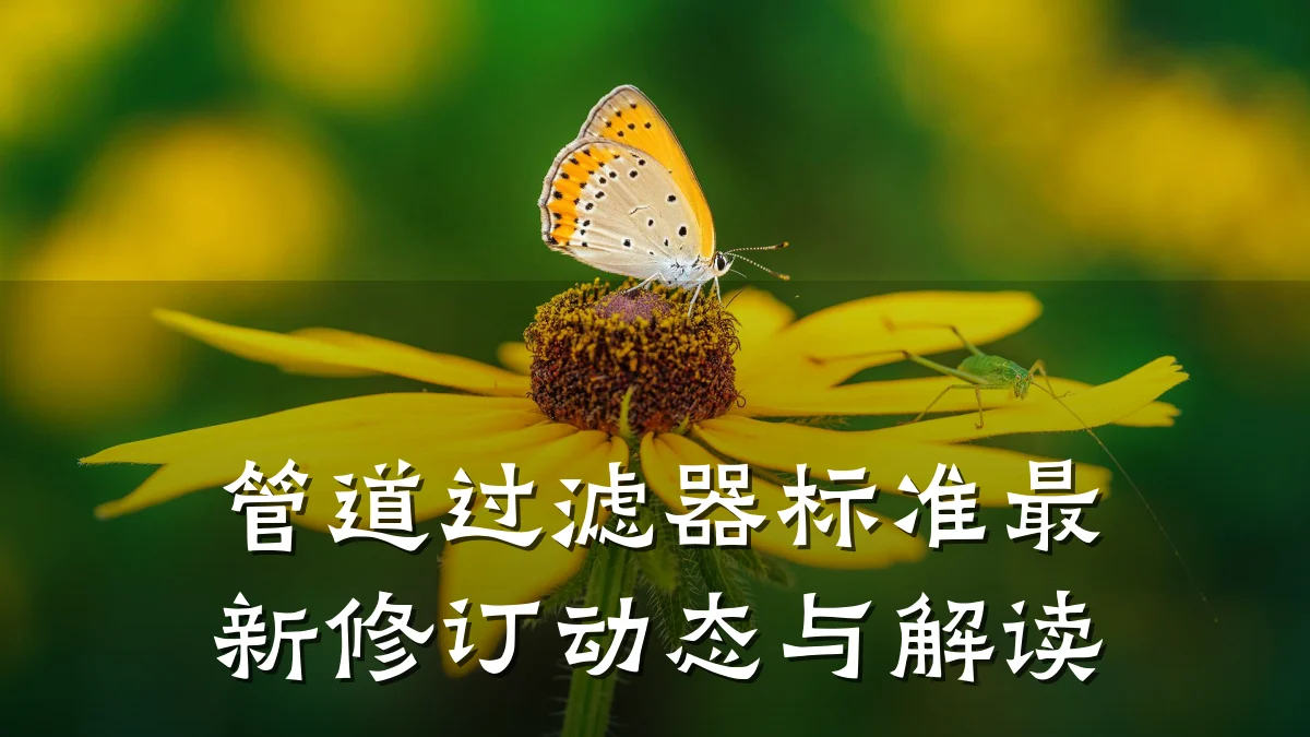 管道过滤器标准最新修订动态与解读