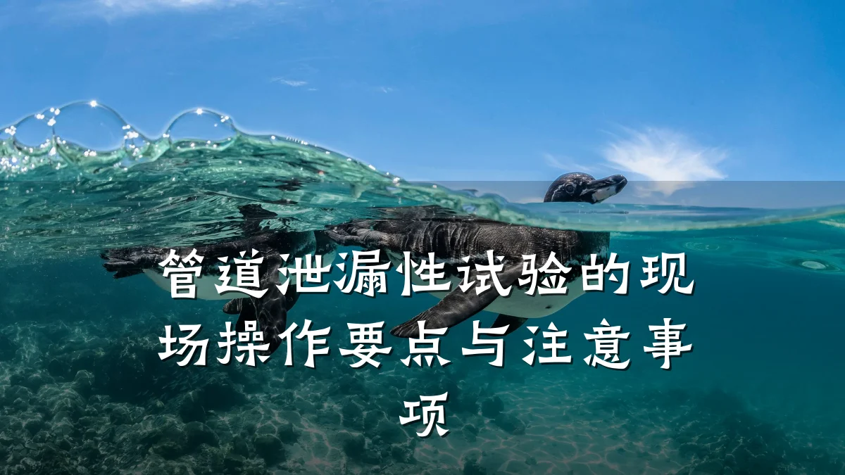 管道泄漏性试验的现场操作要点与注意事项