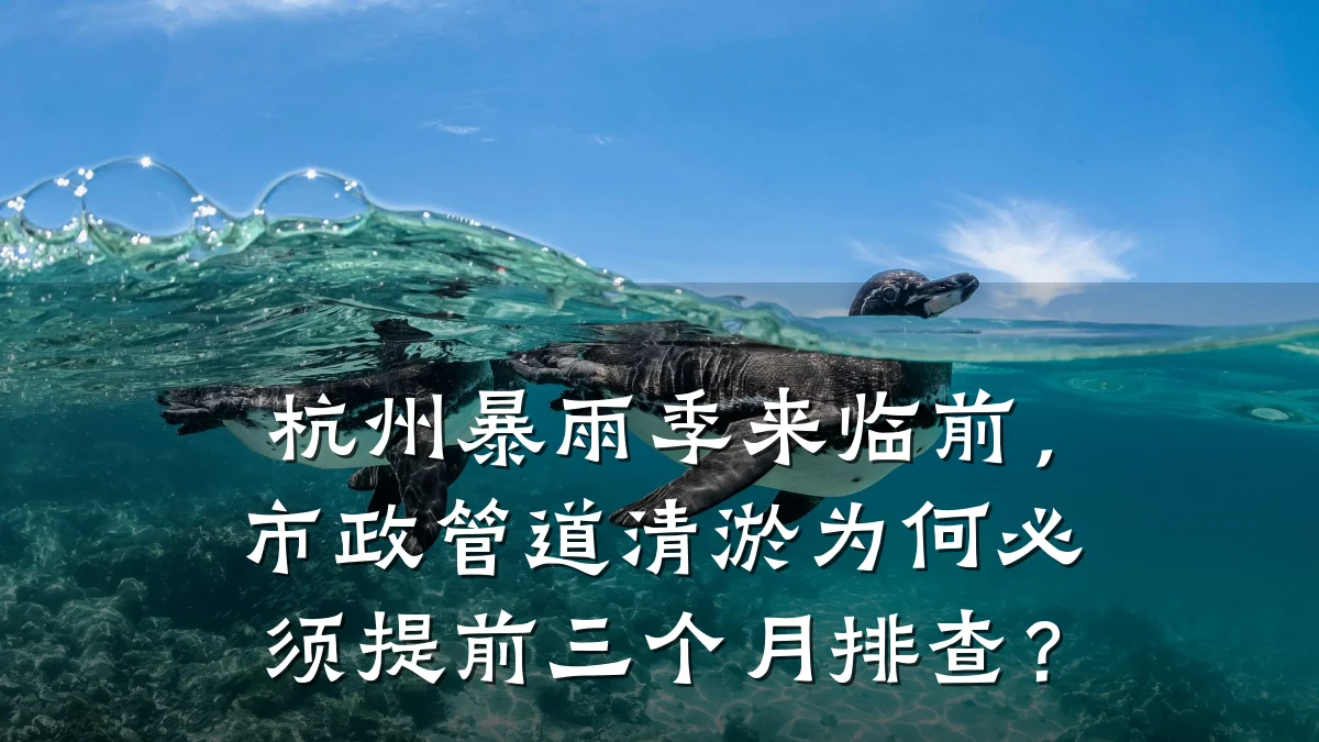 杭州暴雨季来临前,市政管道清淤为何必须提前三个月排查?