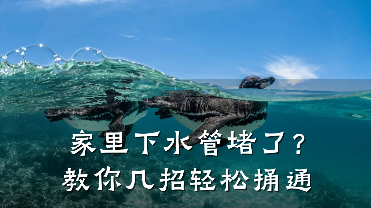 家里下水管堵了?教你几招轻松捅通