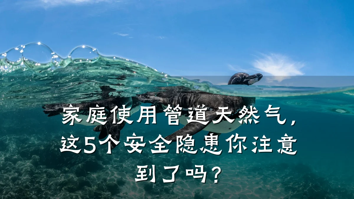 家庭使用管道天然气,这5个安全隐患你注意到了吗?
