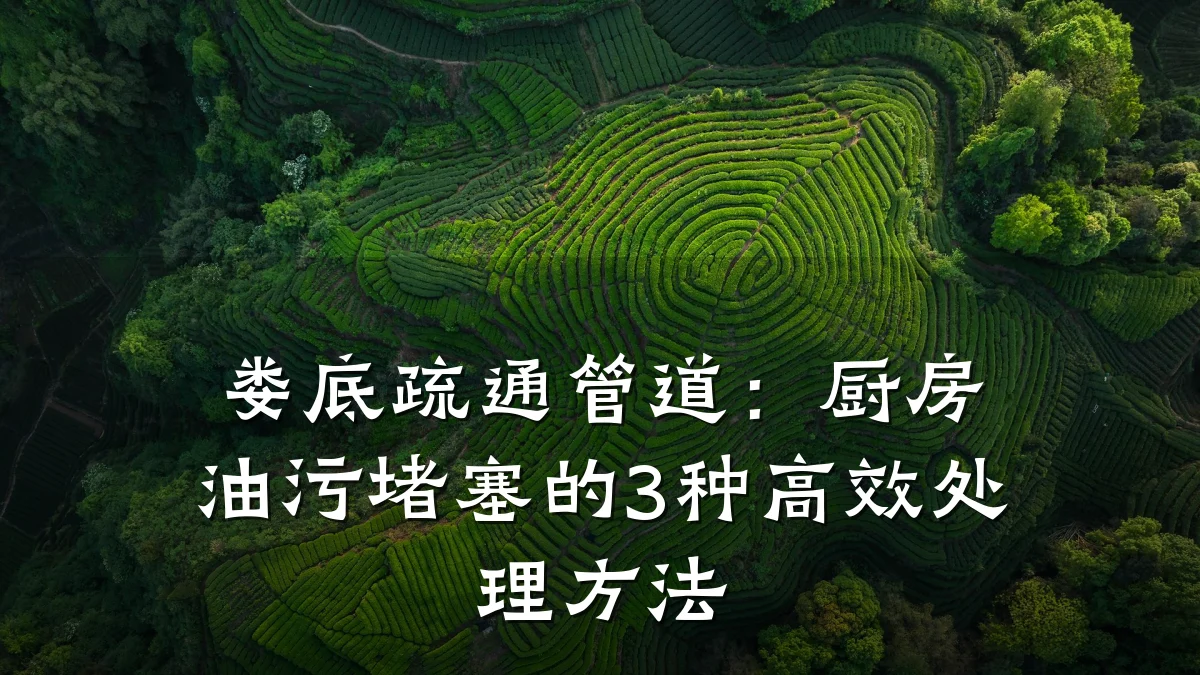 娄底疏通管道:厨房油污堵塞的3种高效处理方法