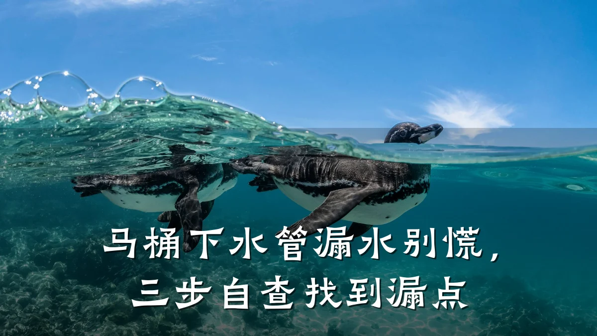 马桶下水管漏水别慌,三步自查找到漏点