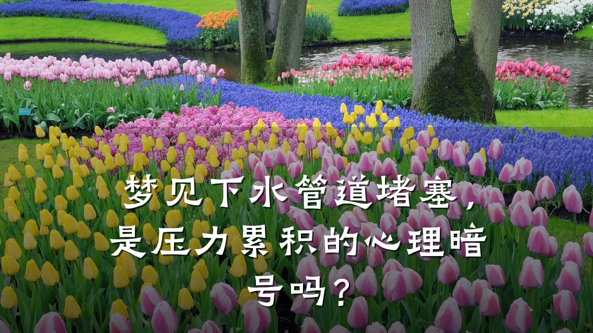 梦见下水管道堵塞,是压力累积的心理暗号吗?