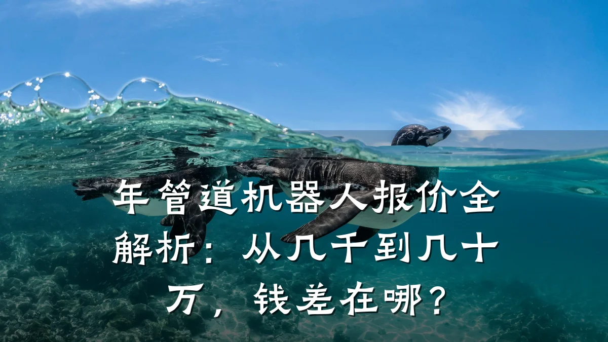 年管道机器人报价全解析:从几千到几十万,钱差在哪?