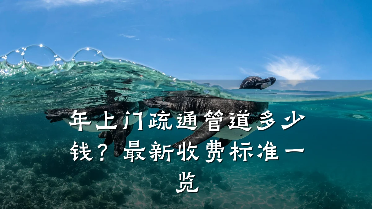 年上门疏通管道多少钱?最新收费标准一览
