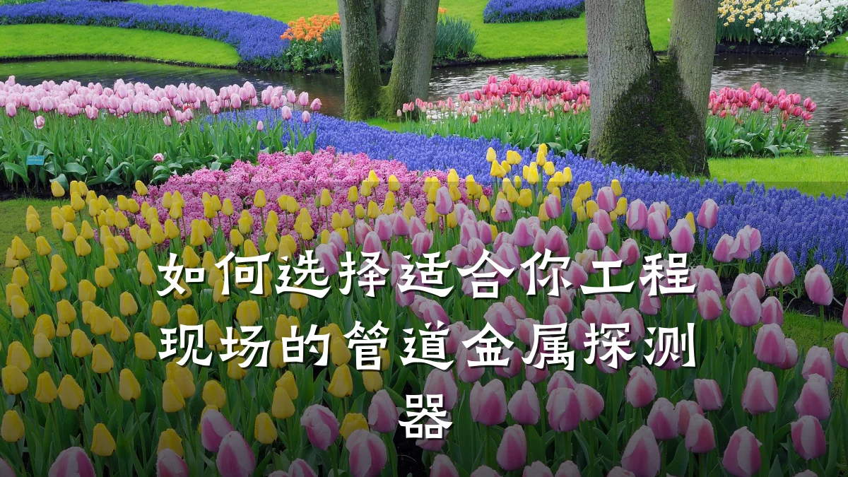 如何选择适合你工程现场的管道金属探测器