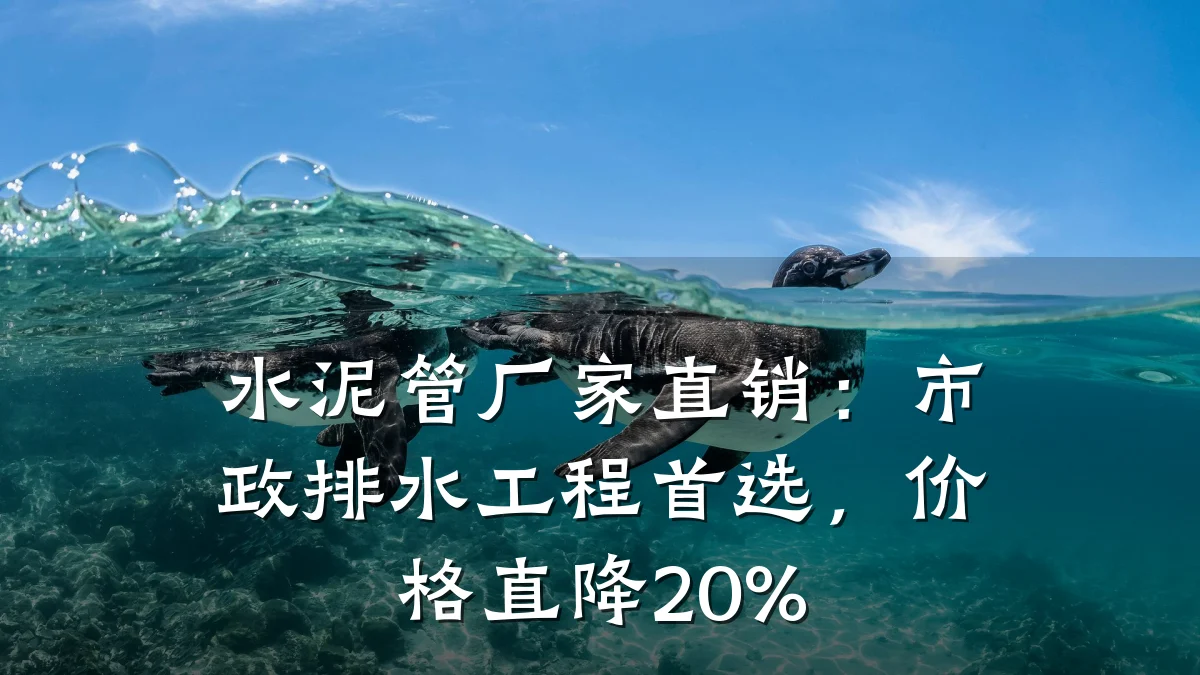 水泥管厂家直销：市政排水工程首选，价格直降20%