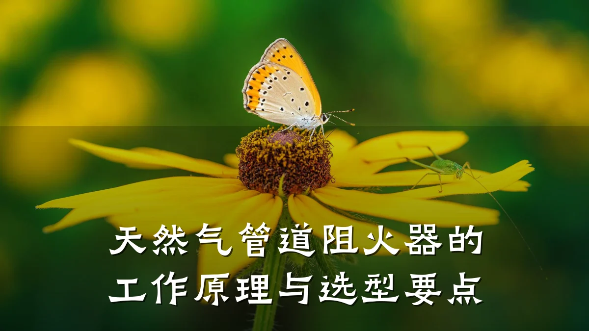 天然气管道阻火器的工作原理与选型要点