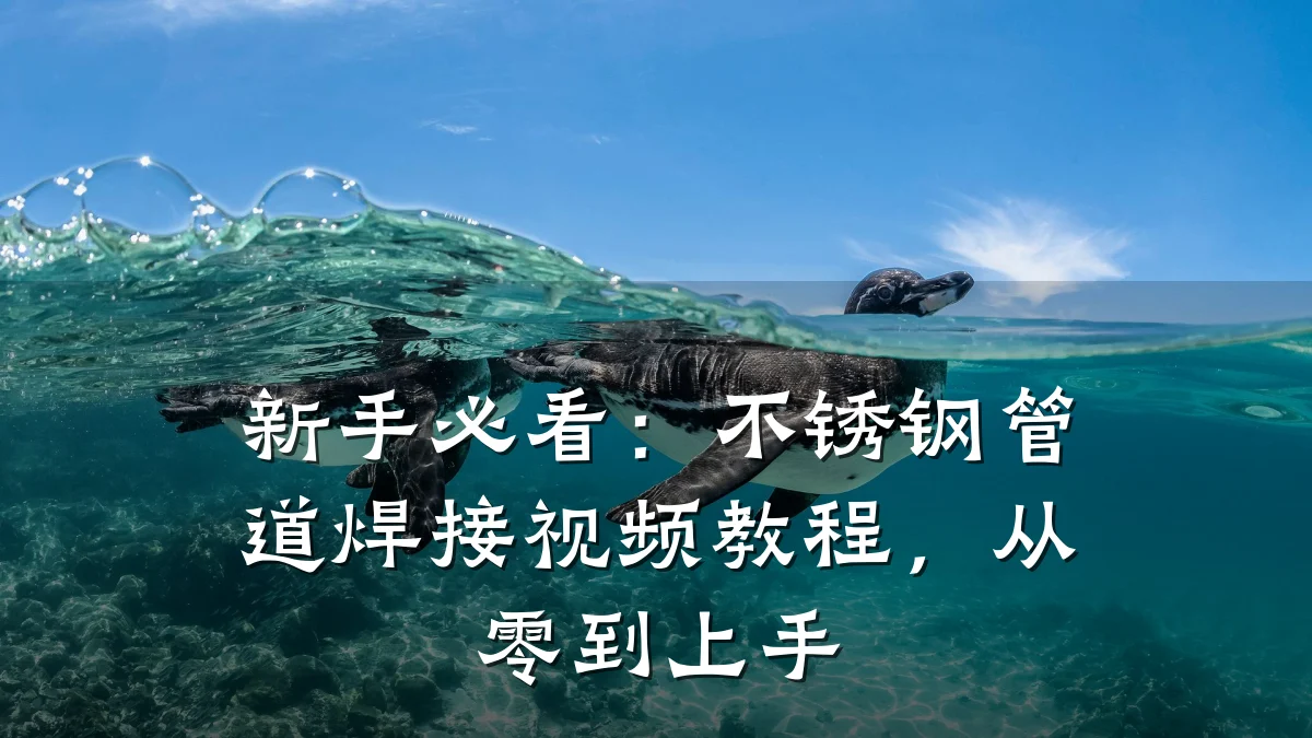 新手必看:不锈钢管道焊接视频教程,从零到上手