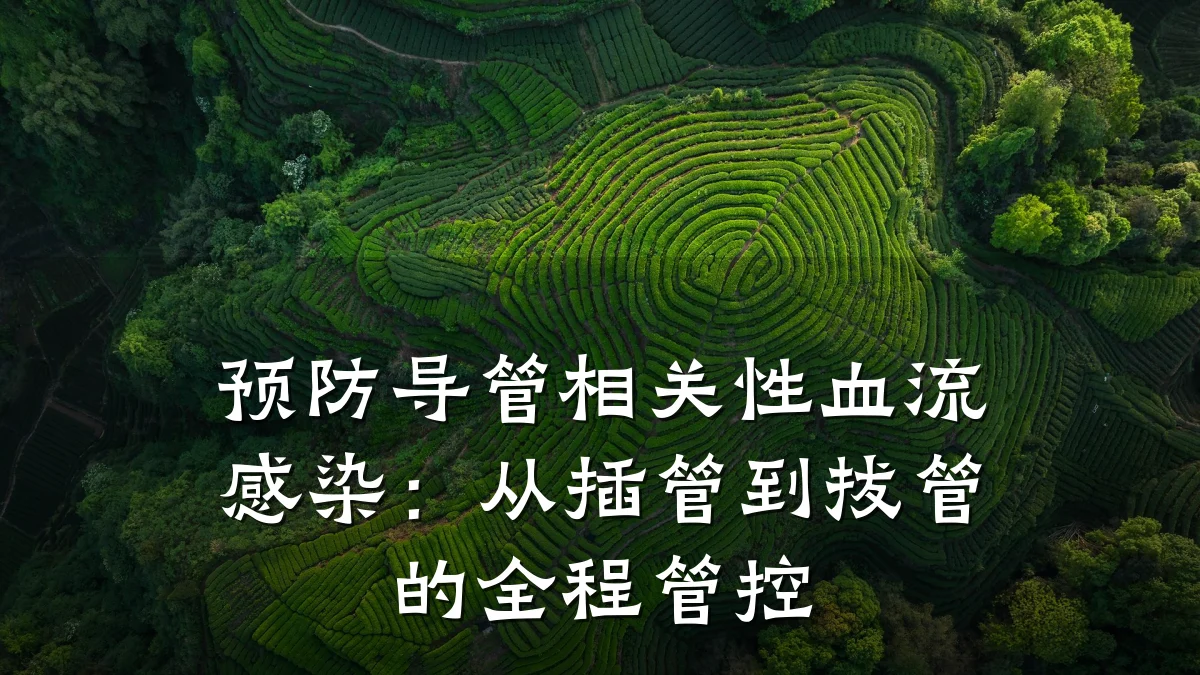 预防导管相关性血流感染:从插管到拔管的全程管控