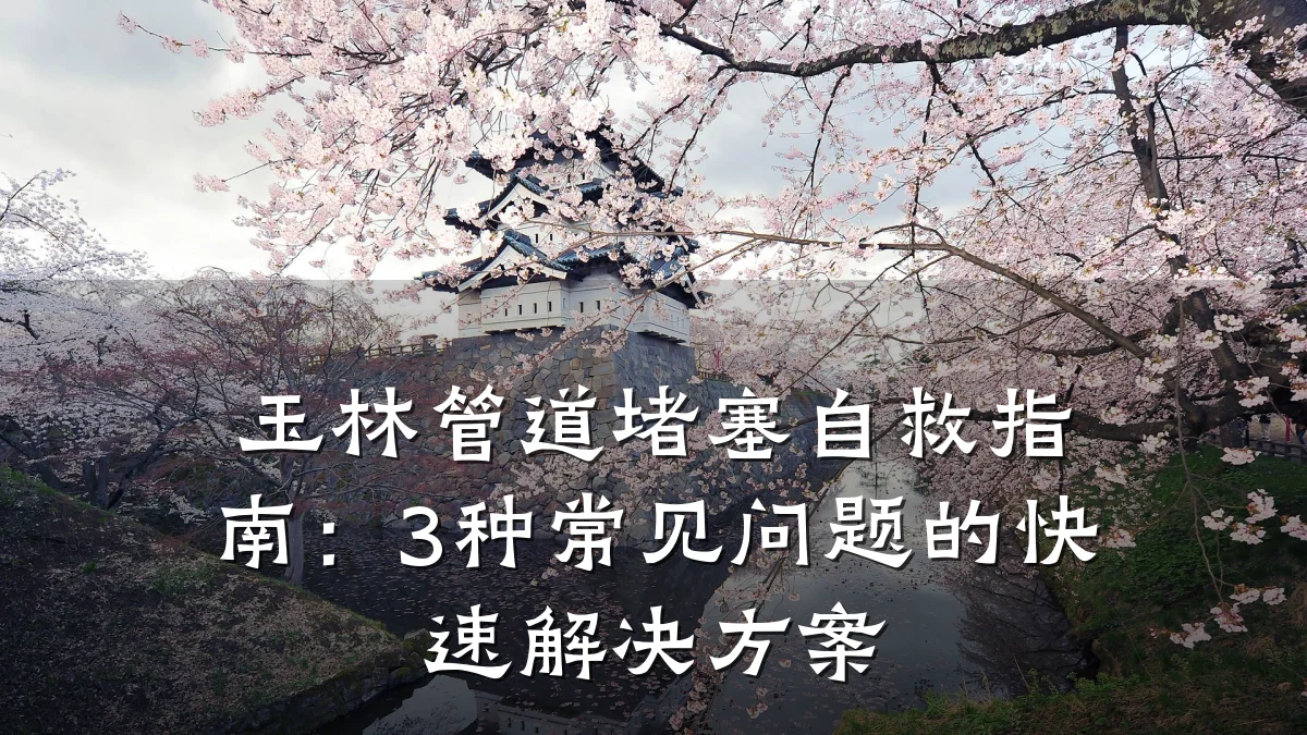 玉林管道堵塞自救指南:3种常见问题的快速解决方案
