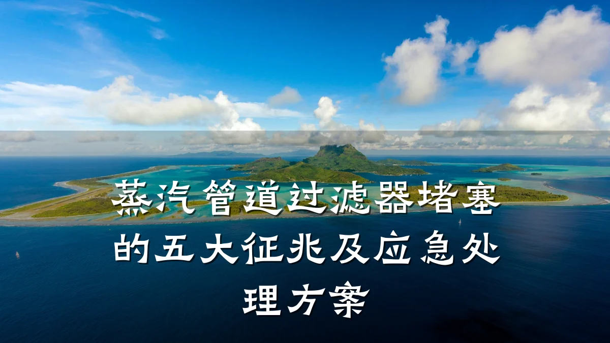 蒸汽管道过滤器堵塞的五大征兆及应急处理方案