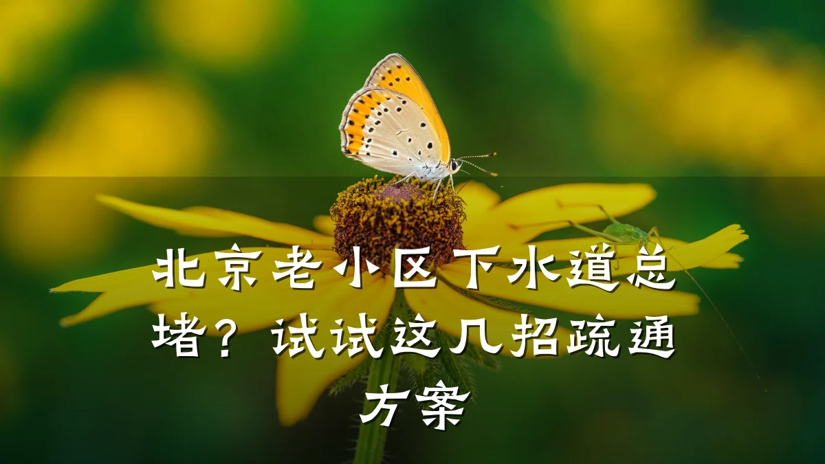 北京老小区下水道总堵?试试这几招疏通方案