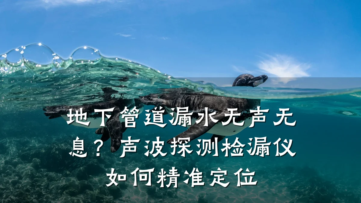地下管道漏水无声无息?声波探测检漏仪如何精准定位