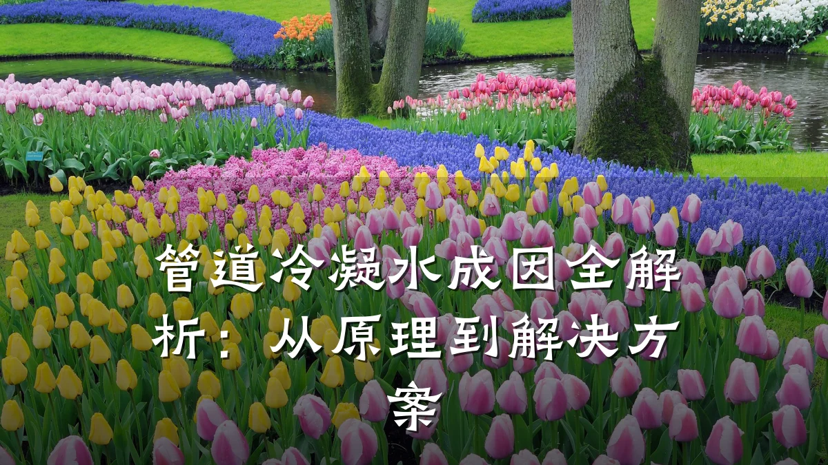 管道冷凝水成因全解析:从原理到解决方案