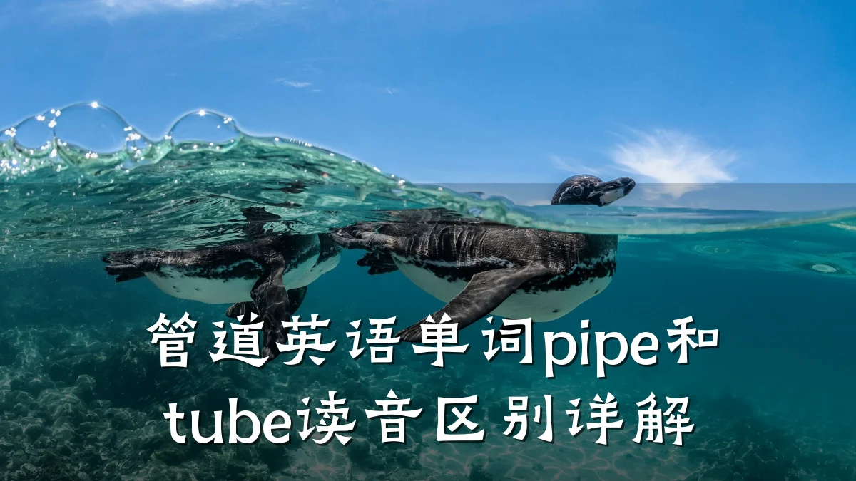 管道英语单词pipe和tube读音区别详解