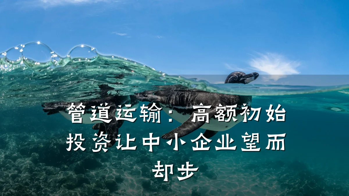 管道运输:高额初始投资让中小企业望而却步