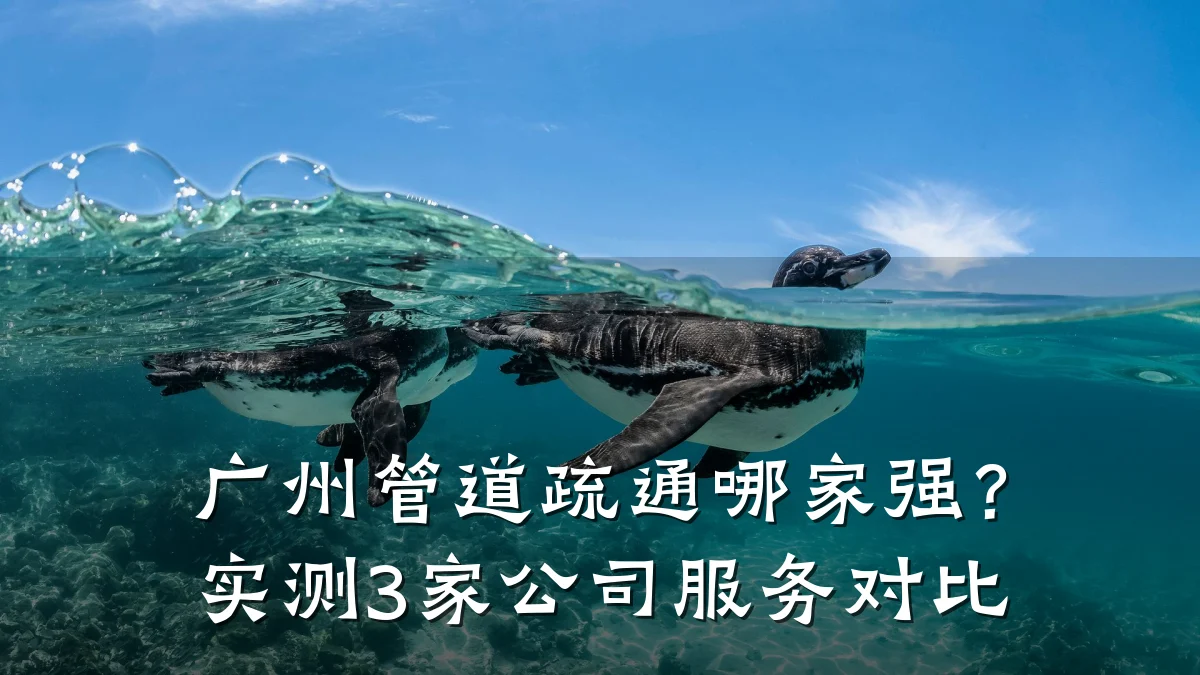 广州管道疏通哪家强?实测3家公司服务对比