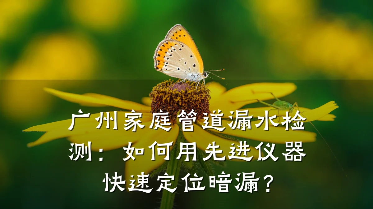 广州家庭管道漏水检测:如何用先进仪器快速定位暗漏?