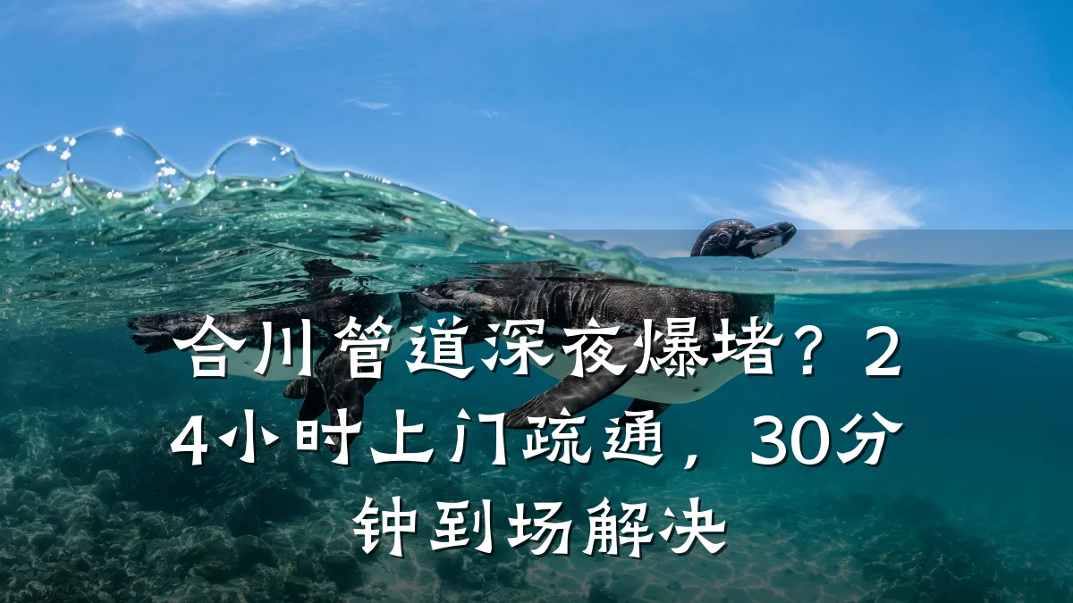 合川管道深夜爆堵?24小时上门疏通,30分钟到场解决