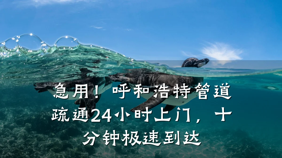 急用!呼和浩特管道疏通24小时上门,十分钟极速到达
