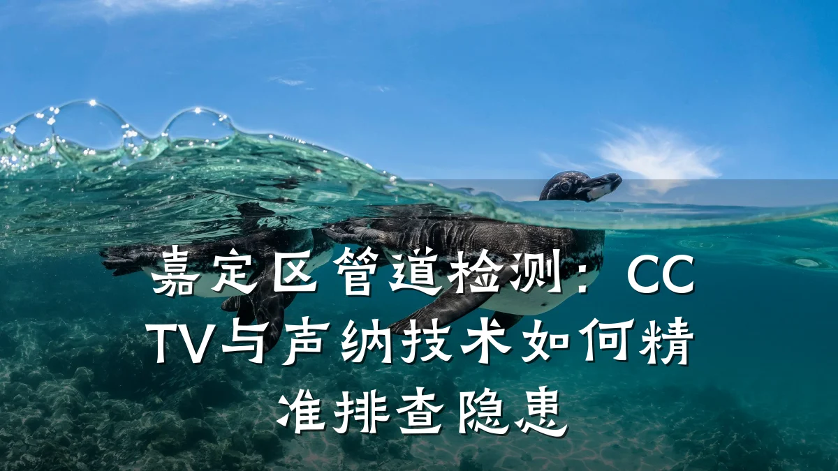 嘉定区管道检测:CCTV与声纳技术如何精准排查隐患