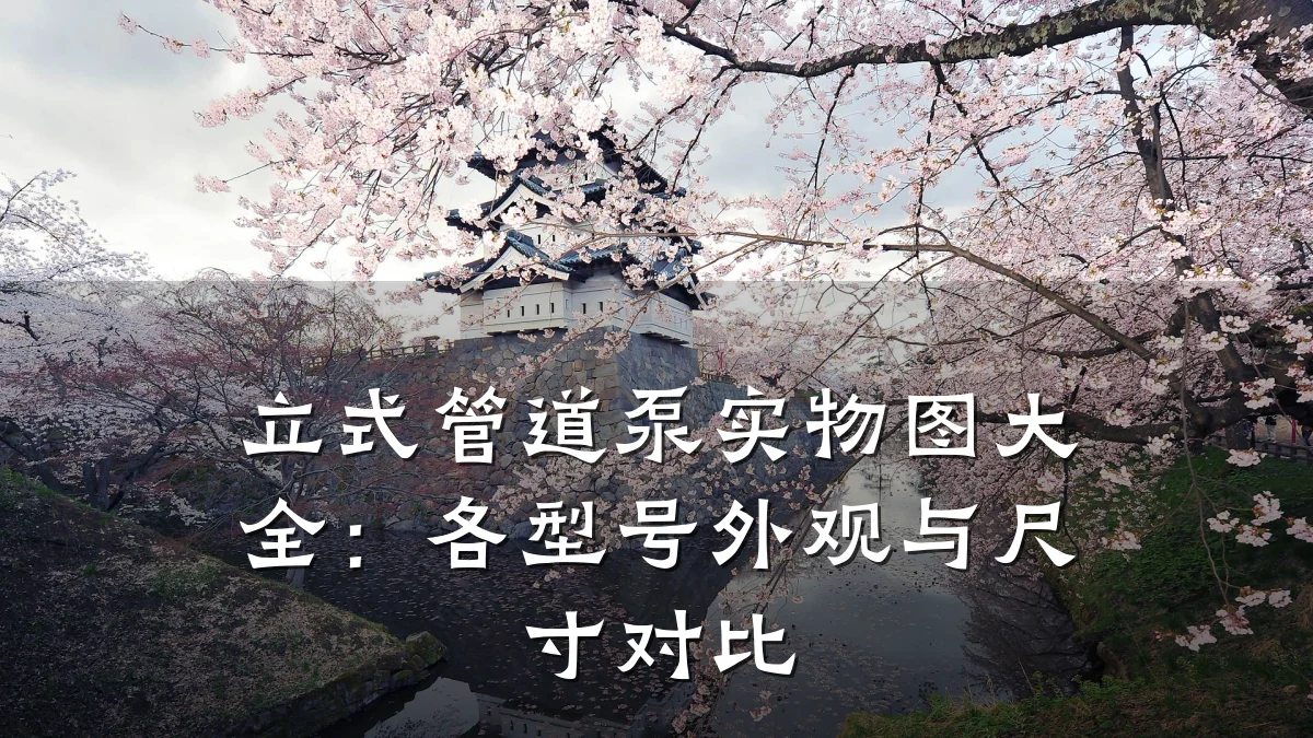 立式管道泵实物图大全:各型号外观与尺寸对比