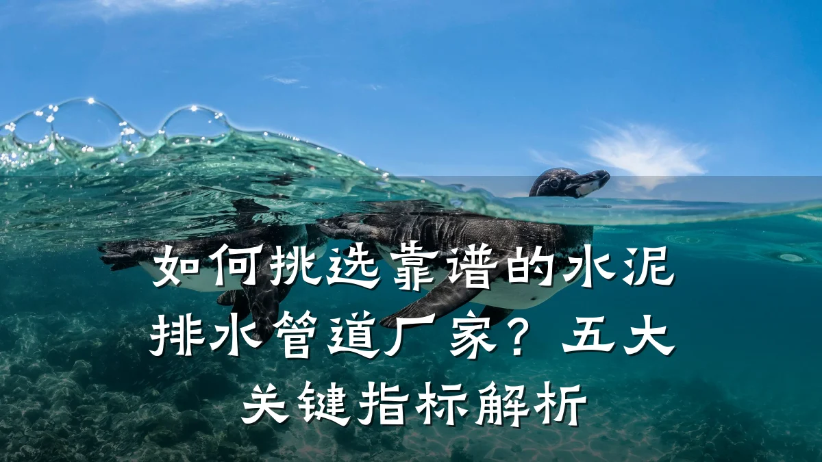 如何挑选靠谱的水泥排水管道厂家？五大关键指标解析