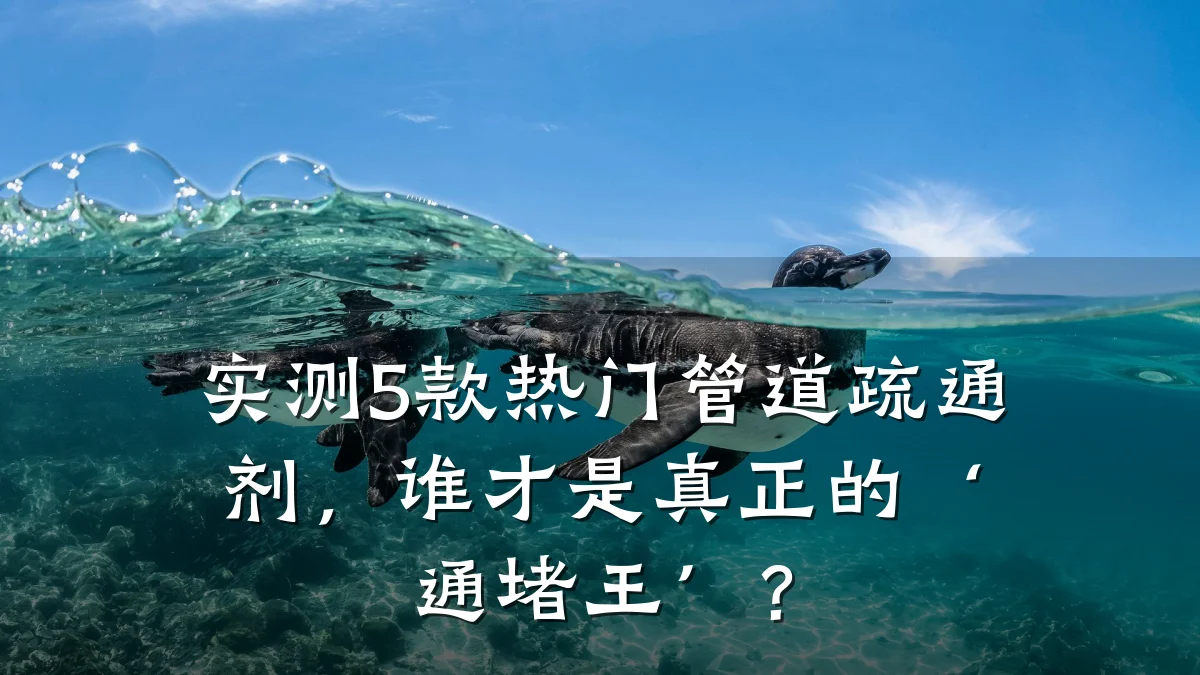 实测5款热门管道疏通剂,谁才是真正的‘通堵王’?