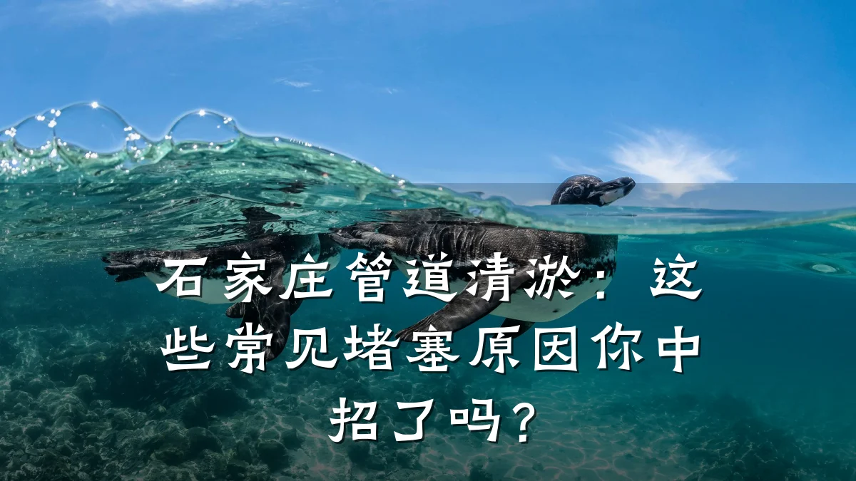 石家庄管道清淤:这些常见堵塞原因你中招了吗?