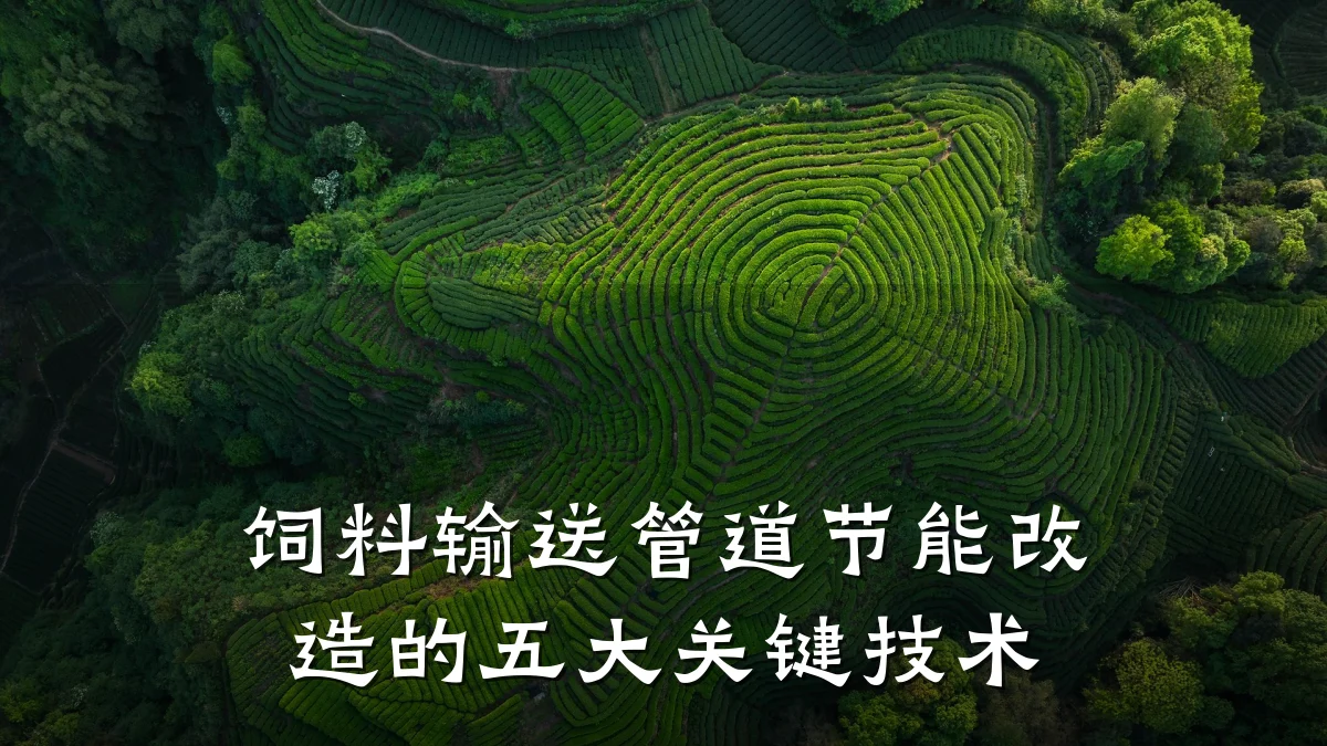 饲料输送管道节能改造的五大关键技术